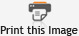 Click to print this page